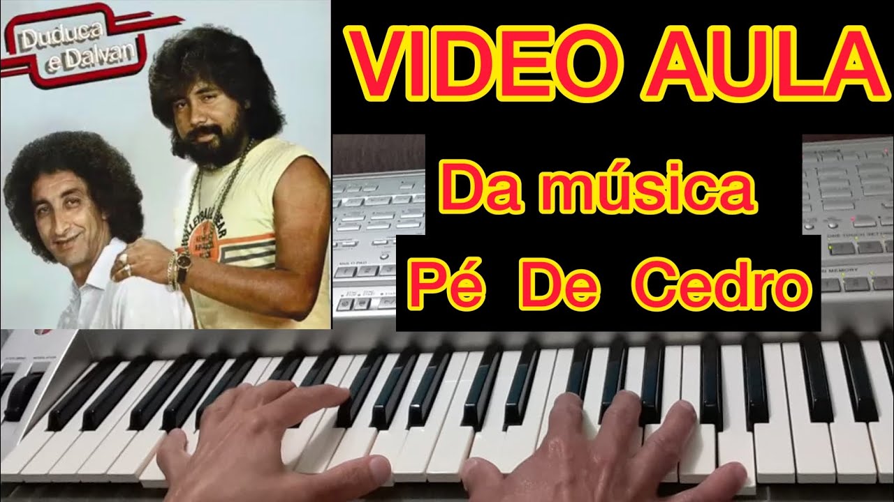 Pé De Cedro - Duduca & Dalvan | Solo passo a passo Video Aula Teclado 🎹