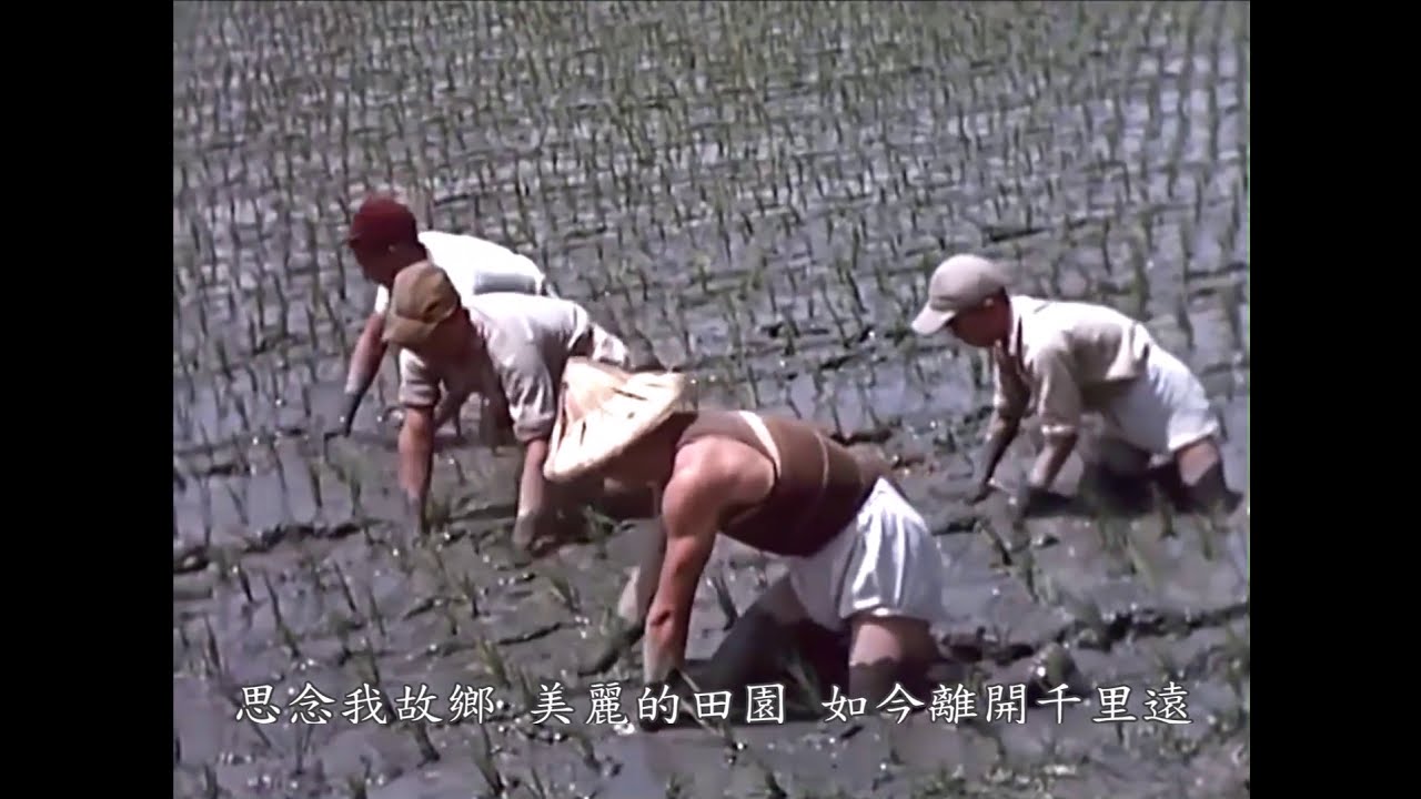 (HD)1959年農業社會的臺灣 HD 海伯之歌 (二首組曲)『思念故鄉』+『寶島四季謠』曼陀羅+海伯合唱  YouTube