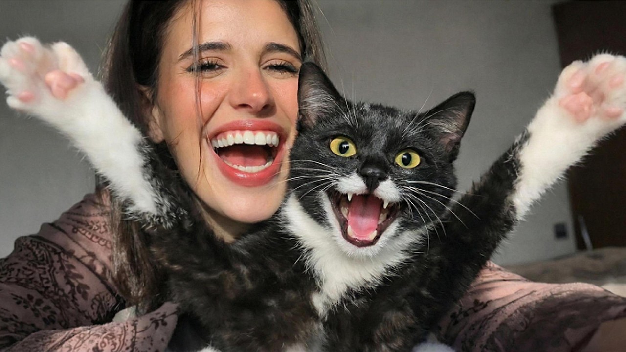 This Cat Didn’t Just Make Me Laugh… You Won’t Believe What Happened Next 😻💛
