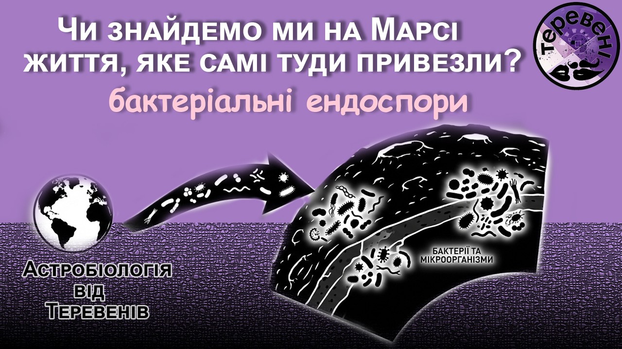 Чи знайдемо ми на Марсі життя, яке самі туди привезли?
