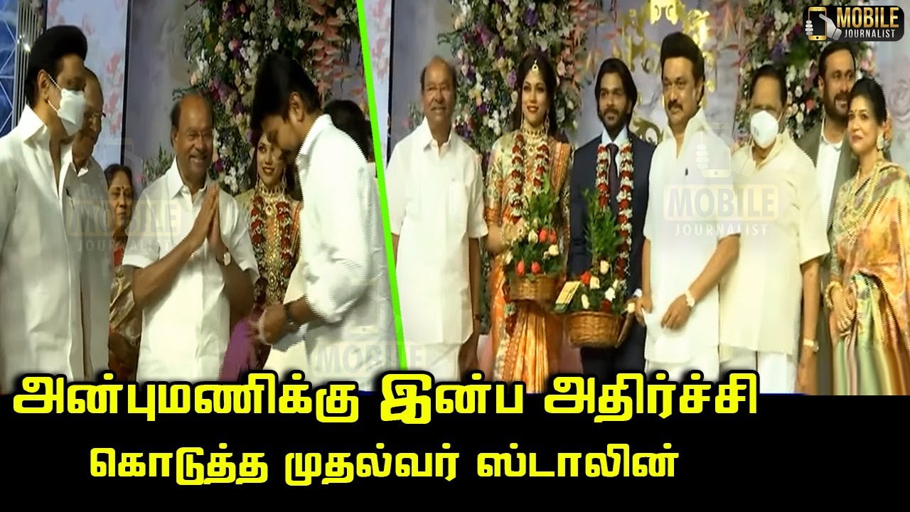 Anbumani Ramadoss Daughter Marriage Reception visits CM MK Stalin, Udhayanidhi, Duraimurugan