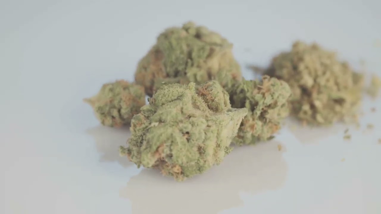 Green Crack Marijuana Strain