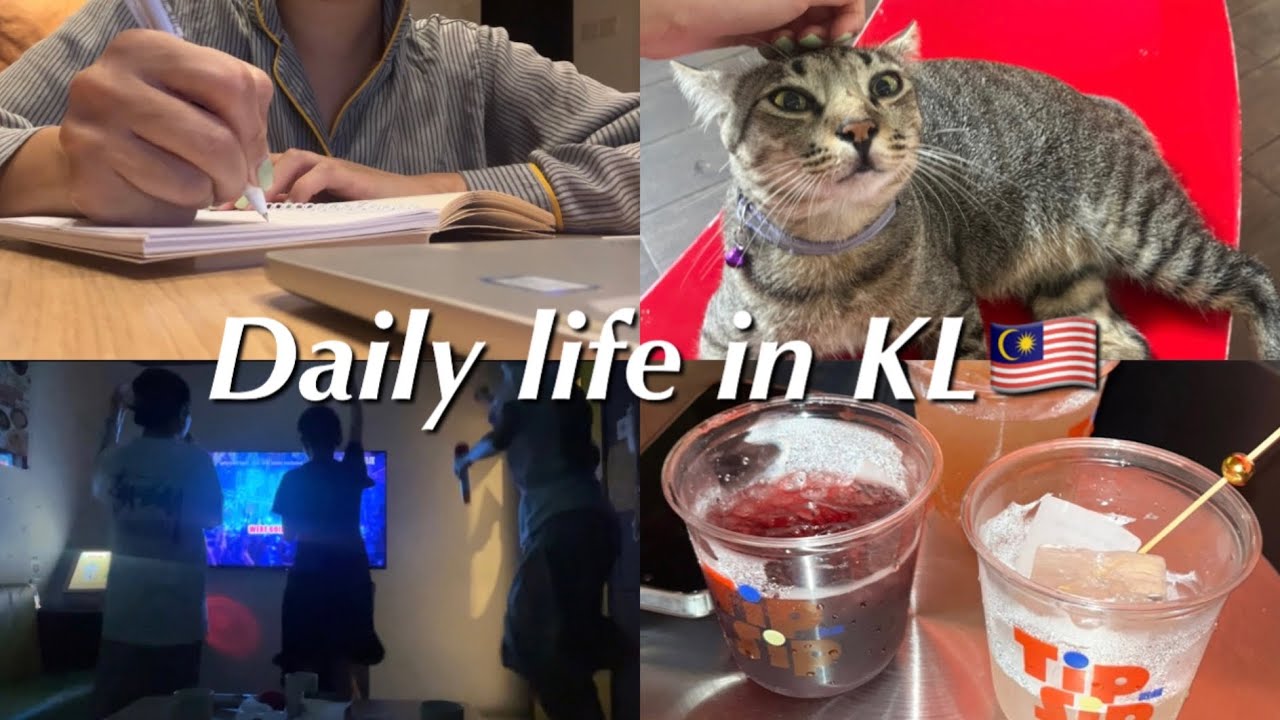 🇲🇾말레이시아 직장인 VLOG l 독서, 음주, 가라오케, 한인마트 장보기 |