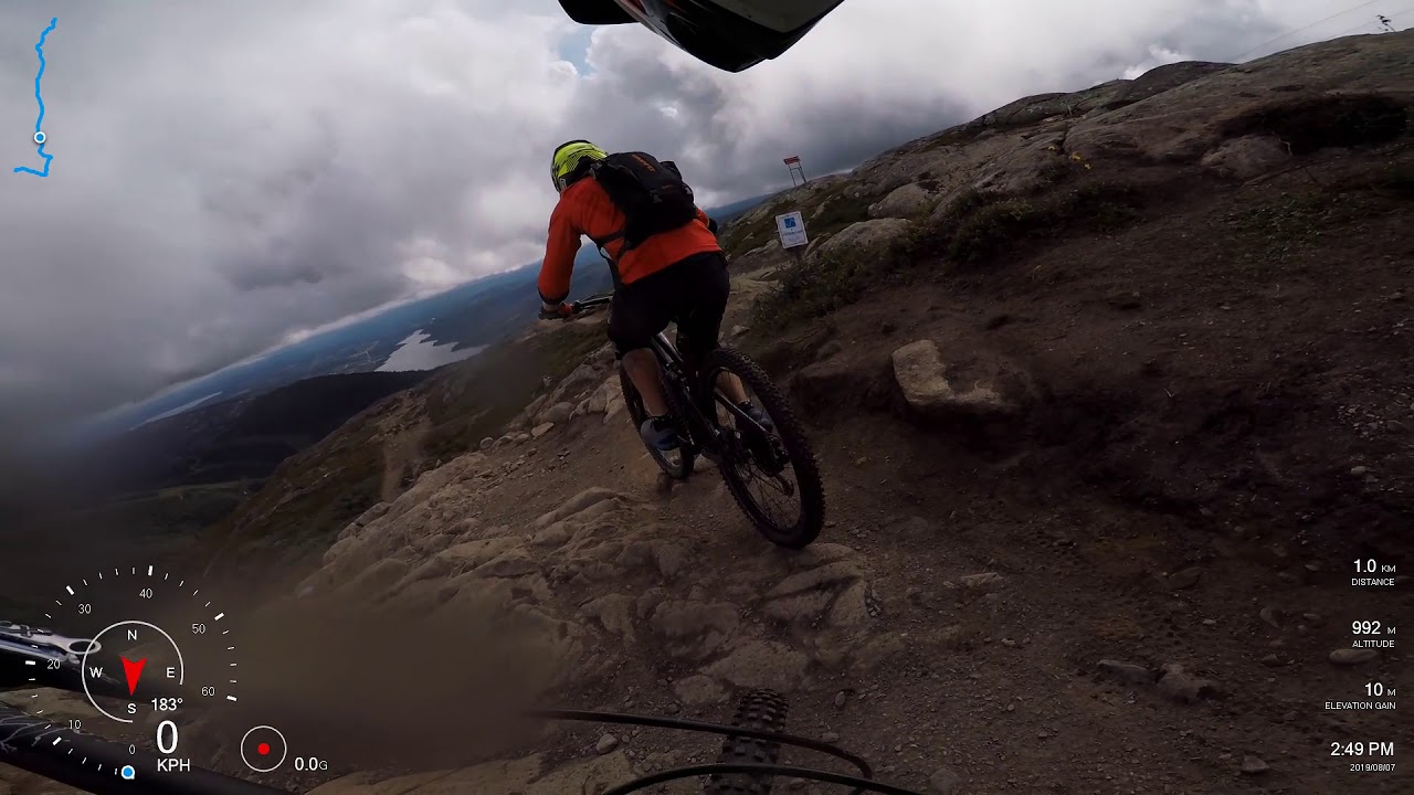 2019-08-07 &Aring;re Svartberget