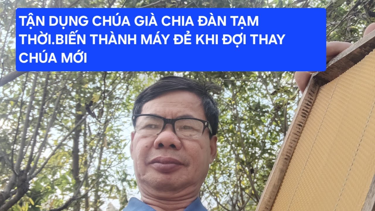 ĐỪNG VỨT BỎ CHÚA GIÀ !BI KÍP NHÂN ĐÔI ĐÀN ONG CỰC NHANH ĐẦU VỤ