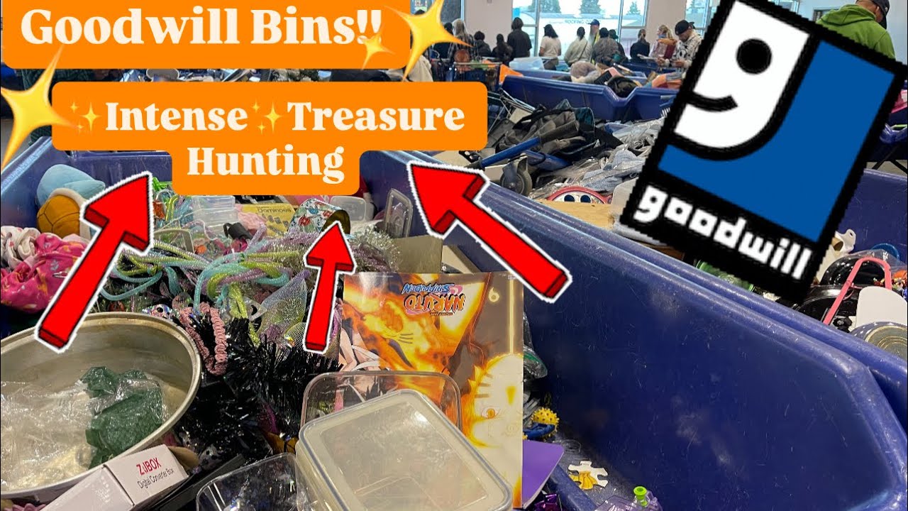 Let’s Go To Goodwill Bins!!! The MOST ✨INTENSE✨ Thrifting Experience! Extreme Treasure Hunting!