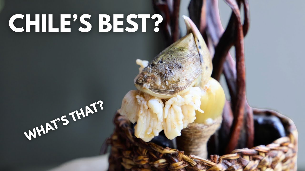 The World’s 50 Best Restaurant You’ve Never Heard Of | Boragó (Fine Dining in Chile)