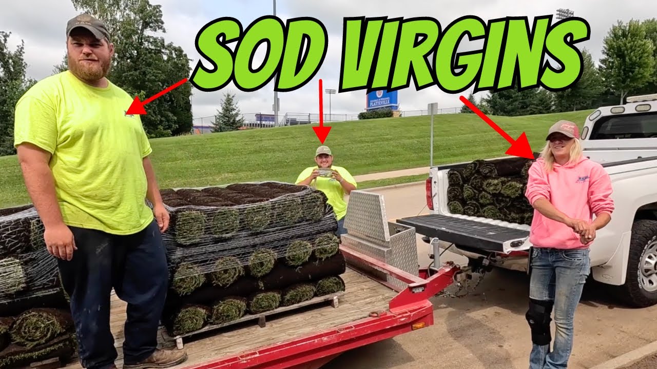 Landscaping Crews 1st Time Laying Sod