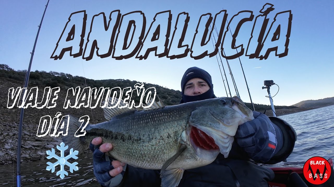 VIAJE NAVIDEÑO POR ANDALUCÍA: DÍA 2. PESCANDO BLACK BASS EN INVIERNO