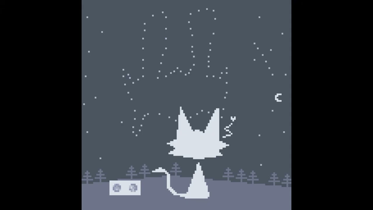 The stars look beautiful today