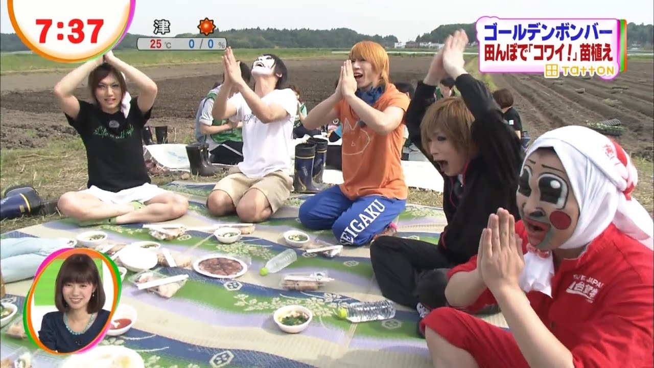 Tatton project