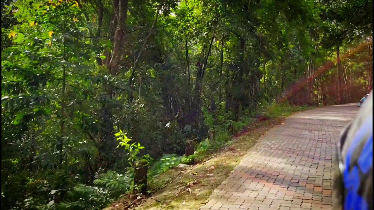 Chittar forest area riding##