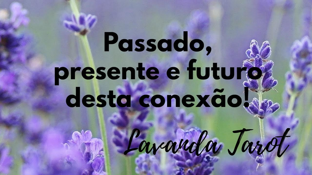 #tarot Passado, presente e futuro desta conexão!
