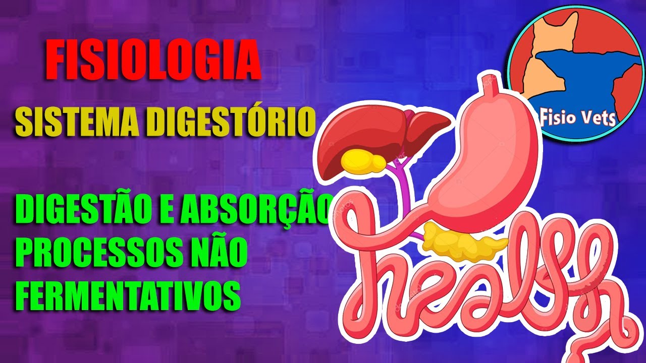 Sistema digestório-Digestão e absorção : processos não fermentativos- Fisiologia veterinária- Aula 4