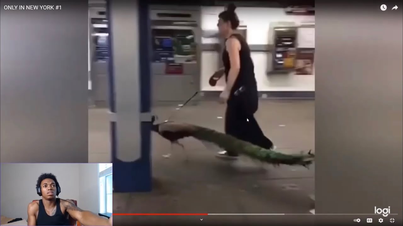ONLY IN NEW YORK REACTTION PART 2! HILARIOUS NEW YORK MOMENTS