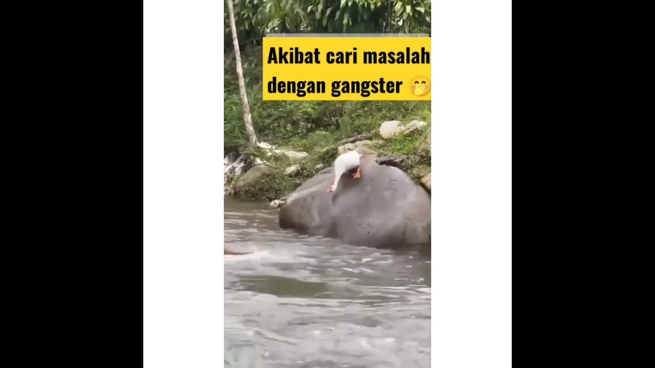 DETIK DETIK KEJADIAN MEMILUKAN