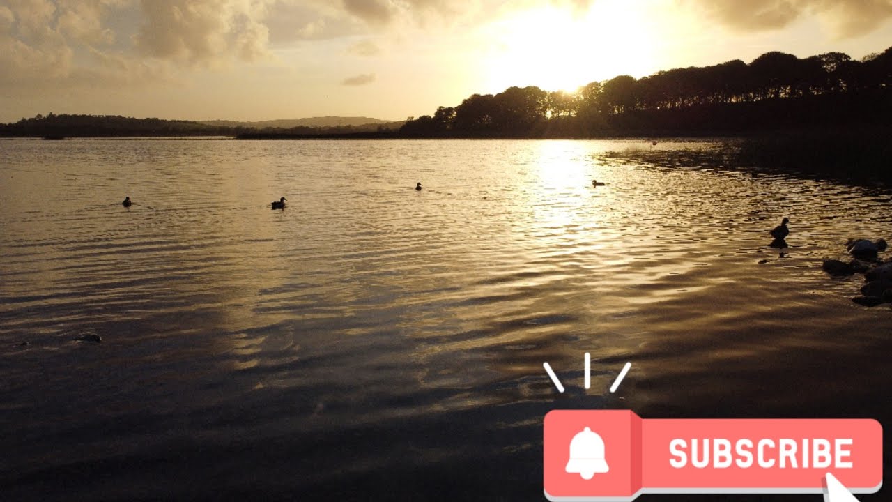 Sunset flight this evening the 21/6/20 over Ballyalla Lake. Ennis. Ireland