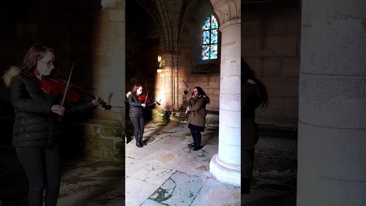 L'inconnue de Limoise - Salle capitulaire (St Jean Aux Bois)
