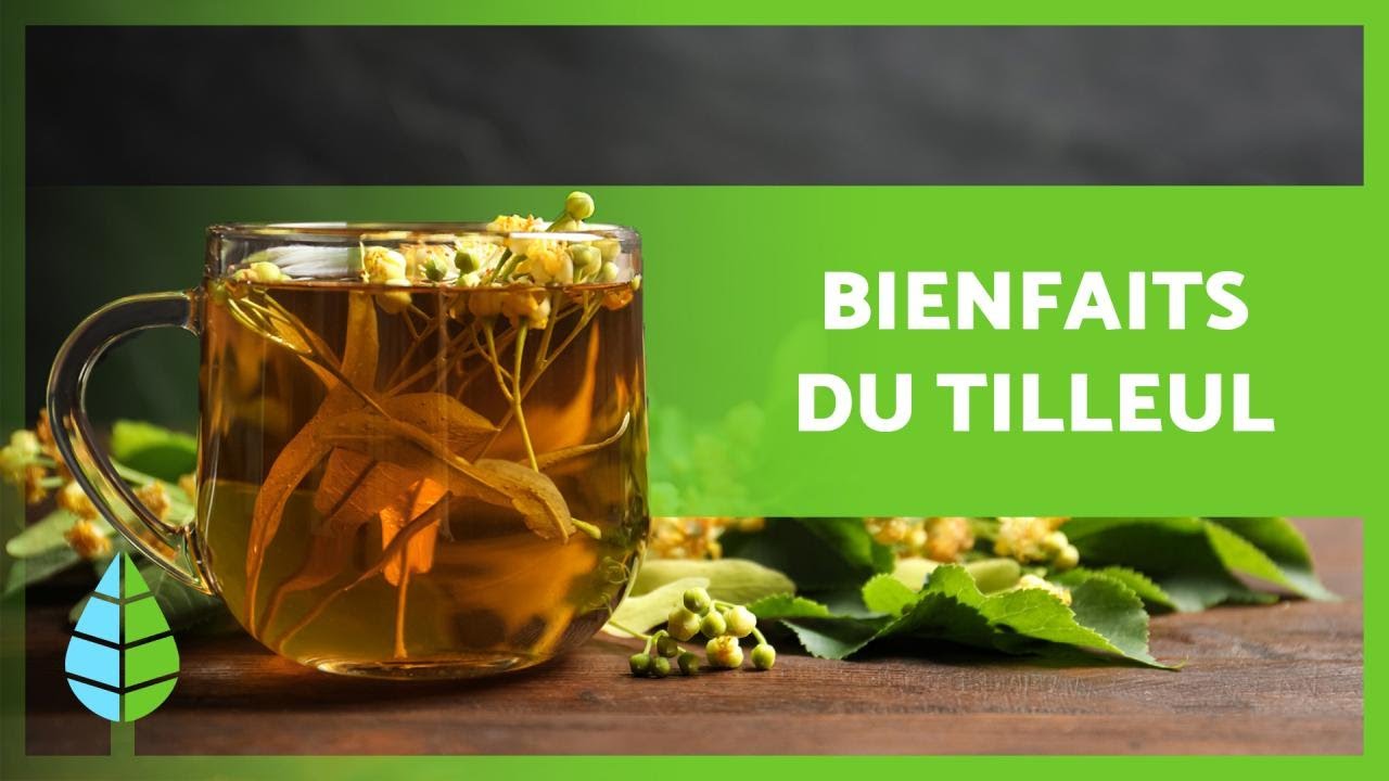 BIENFAITS du TILLEUL 🌿 (Propri&eacute;t&eacute;s, Comment pr&eacute;parer une INFUSION et Contre-indications)