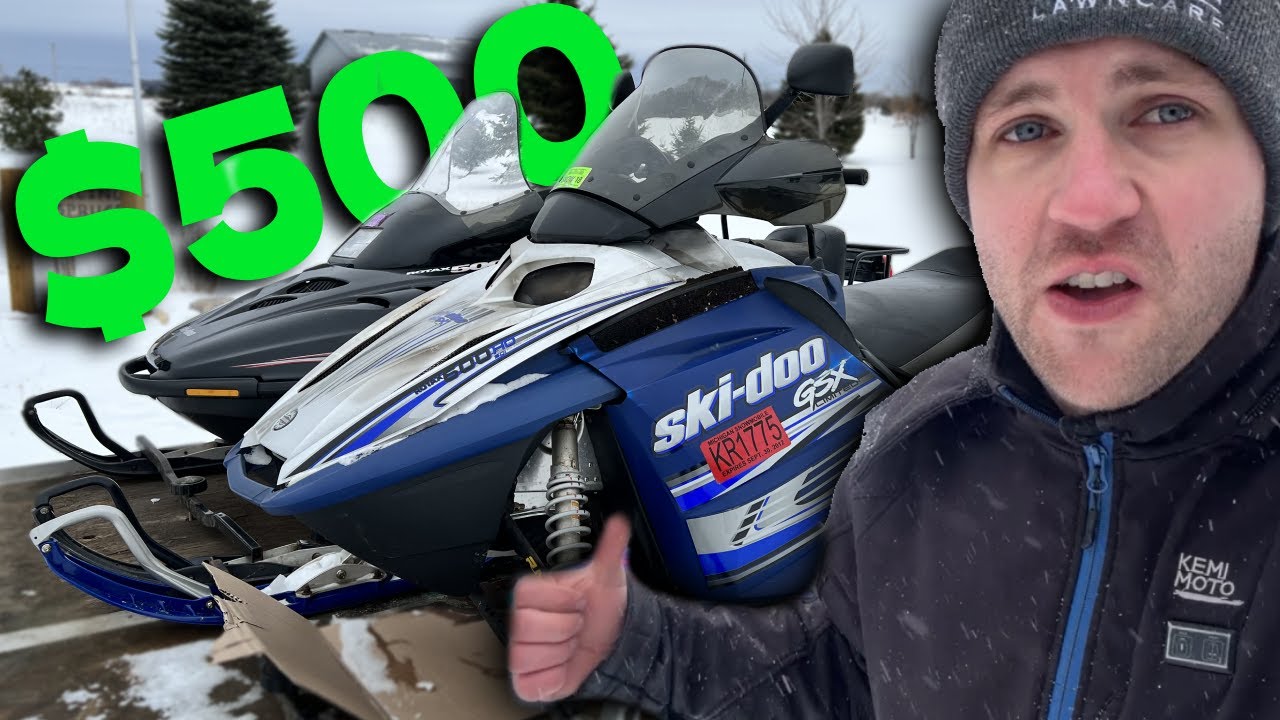 Я купил эти старые снегоходы за 500 долларов.
