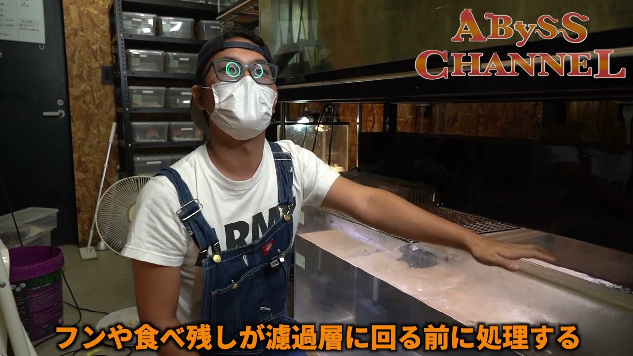 肌荒れのパーカーナガクビガメ２どんな事をしたか