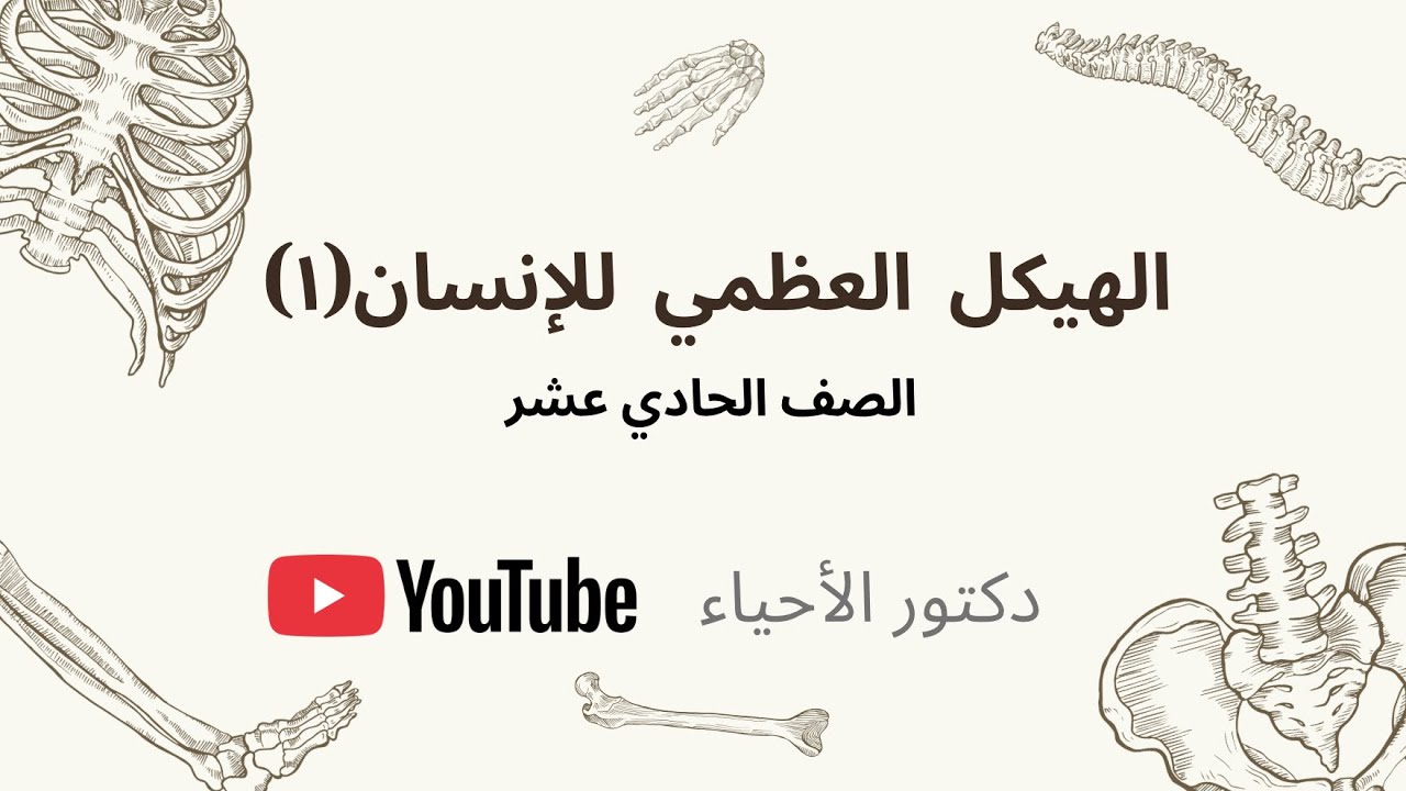 الهيكل العظمي للإنسان(١) الصف الحادي عشر | دكتور الأحياء