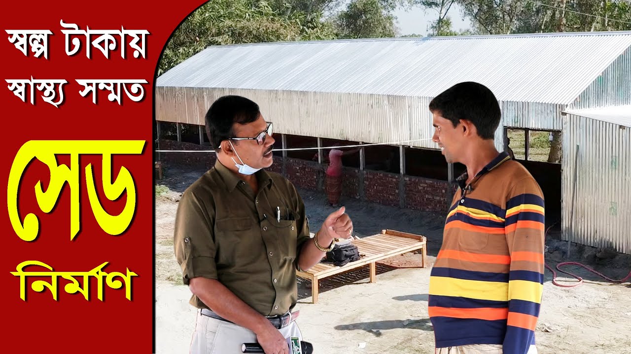 সাশ্রয়ী খরচে তৈরী করুন গরুর সেড । ধারনা নিন এই ভিডিও থেকে । গরুর খামার / গরু পালন Cow Farm BD