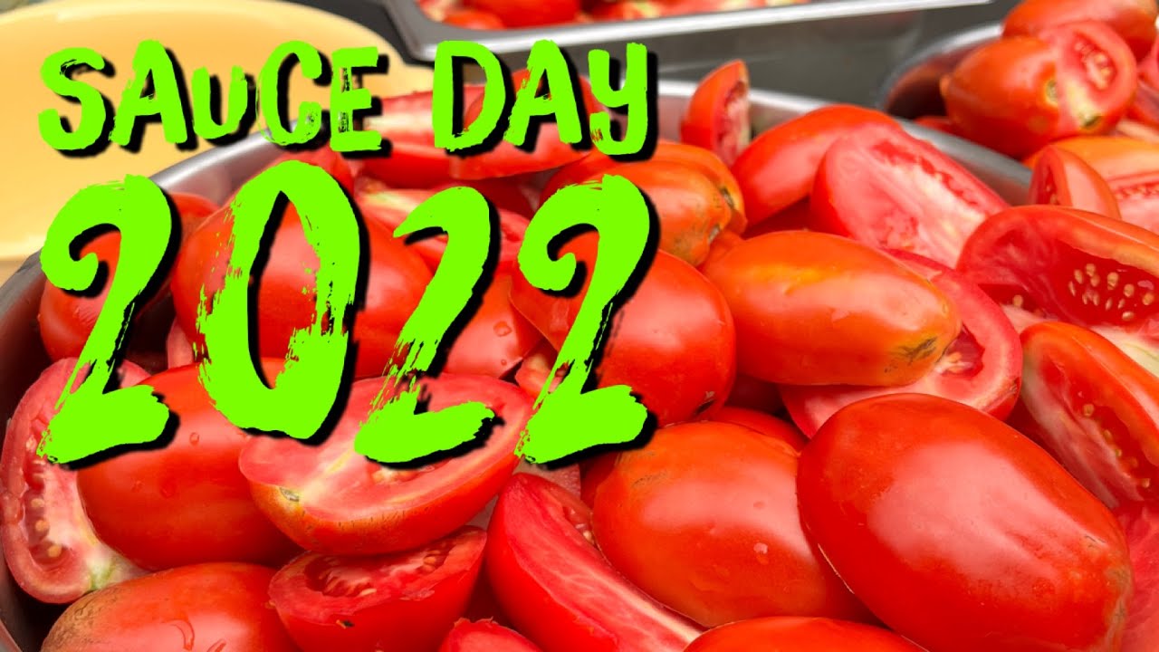 Tomato Sauce Day 2022 | Italian Gold