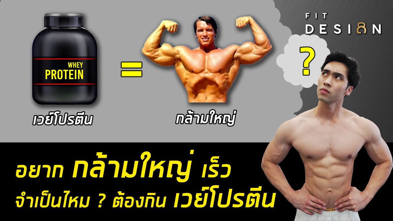 อยากกล้ามใหญ่เร็วๆ จำเป็นไหมต้องกินเวยโปรตีน ?