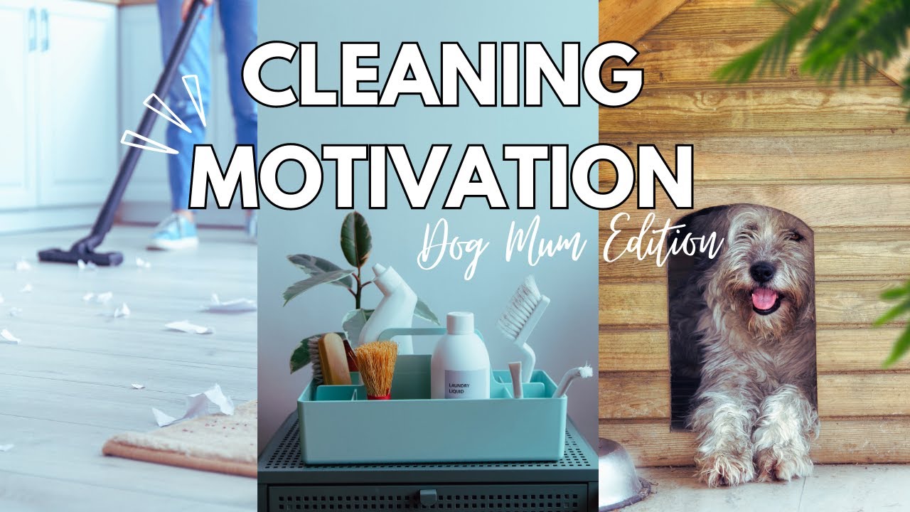 Cleaning Motivation | Clean With Me - Dog Mum House Cleaning.
