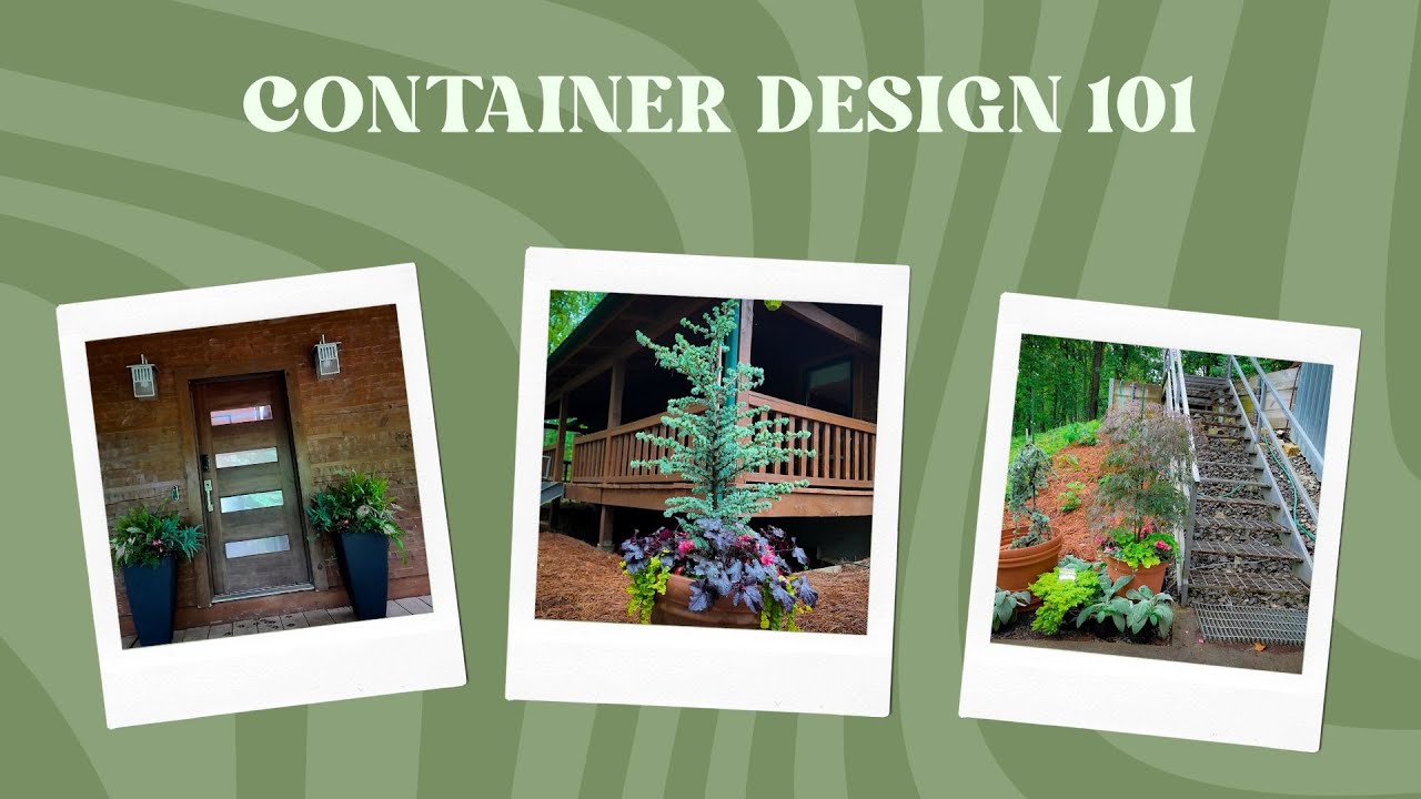 Container Design 101: Watch this before you plant