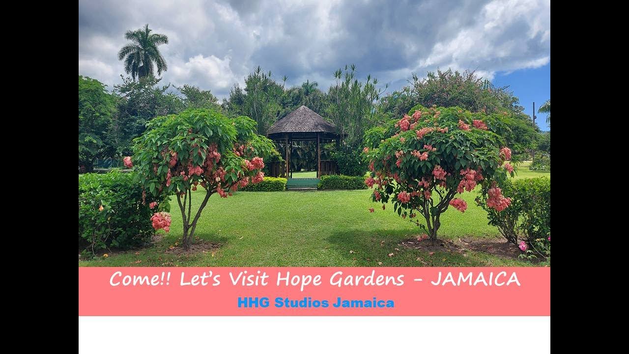 Come!! Let's Visit Hope Gardens - JAMAICA