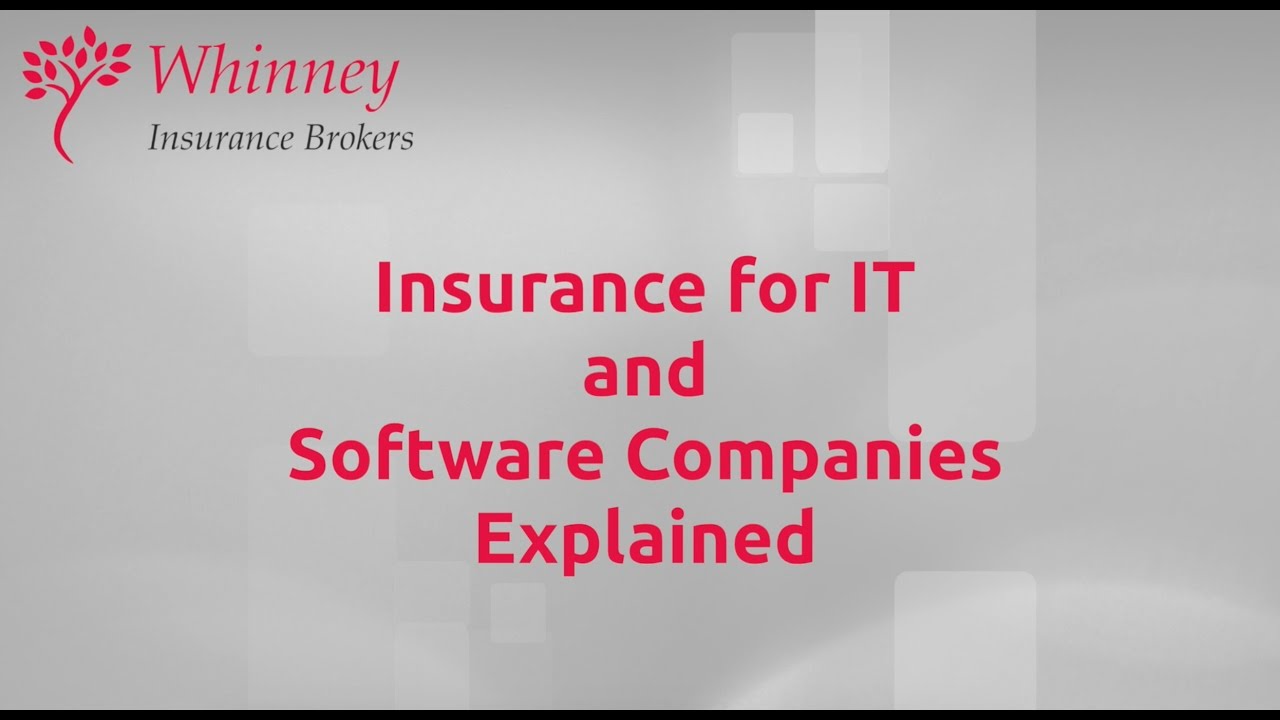 IT and Software Insurance Explained