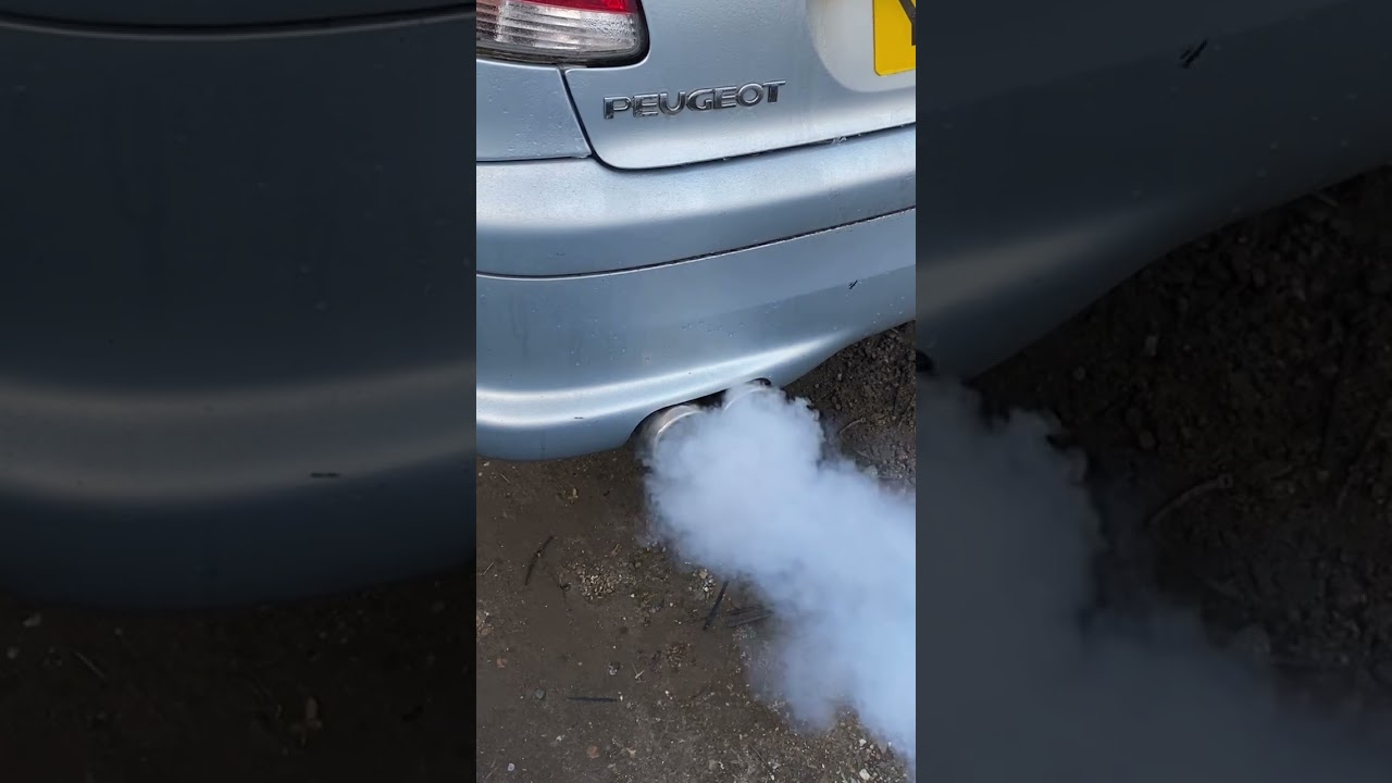 Peugeot 206 DTurbo HDi 2.0 Diesel -1 cold start