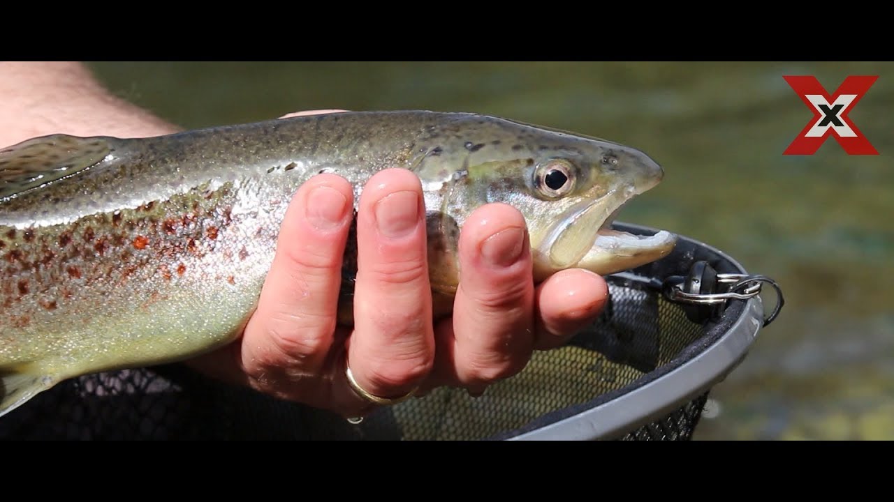 Riserva di pesca Alta Valle Cervo