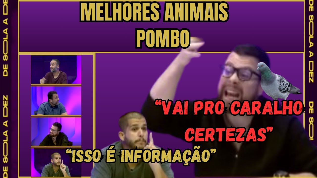 Melhores Animais  - Pombo