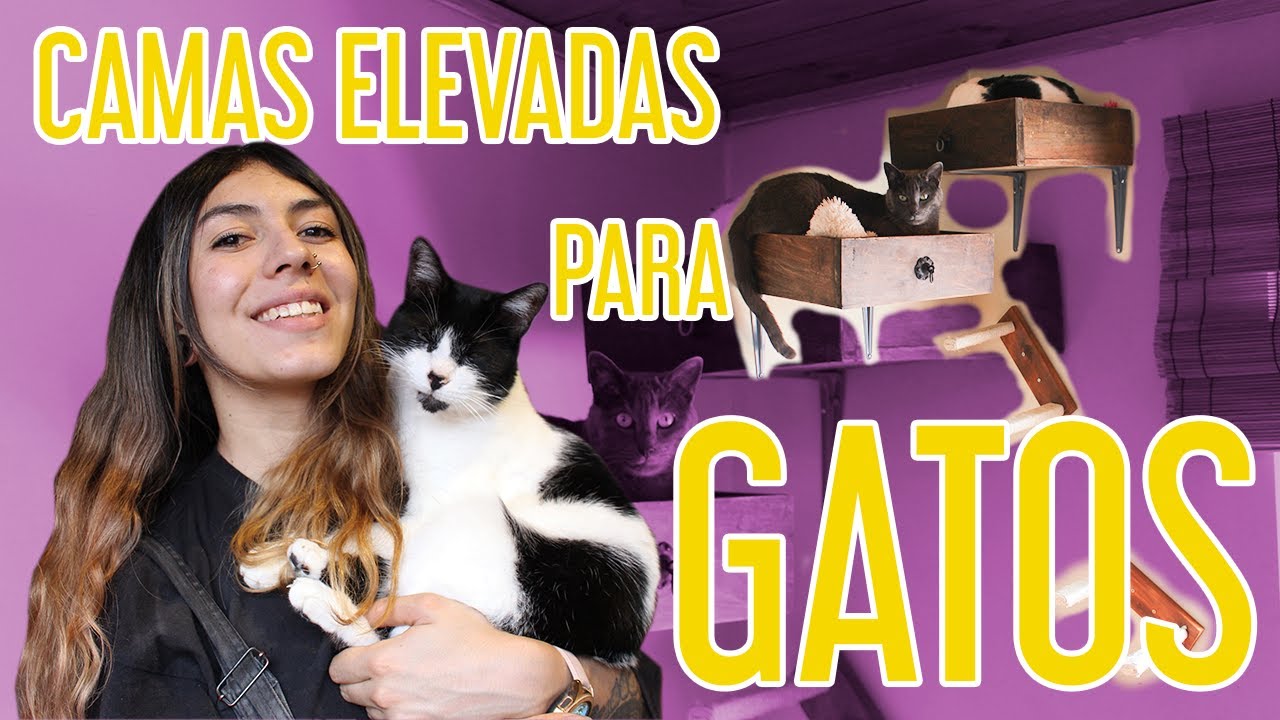 CÓMO HACER CAMAS ELEVADAS PARA GATOS, REUTILIZANDO MUEBLES | Malu a la obra🛠️🔥