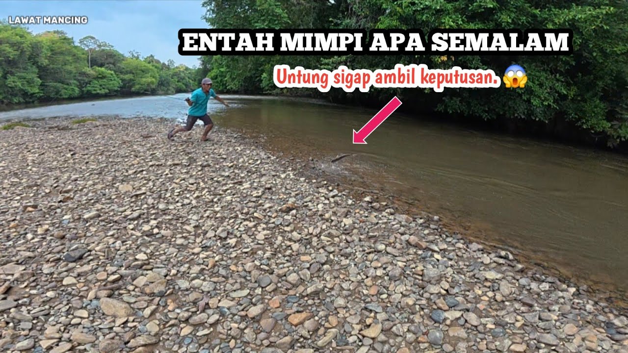 ENTAH MIMPI APA SEMALAM ‼️ Dapat ikan besar palah mau balik lagi ke sungai.