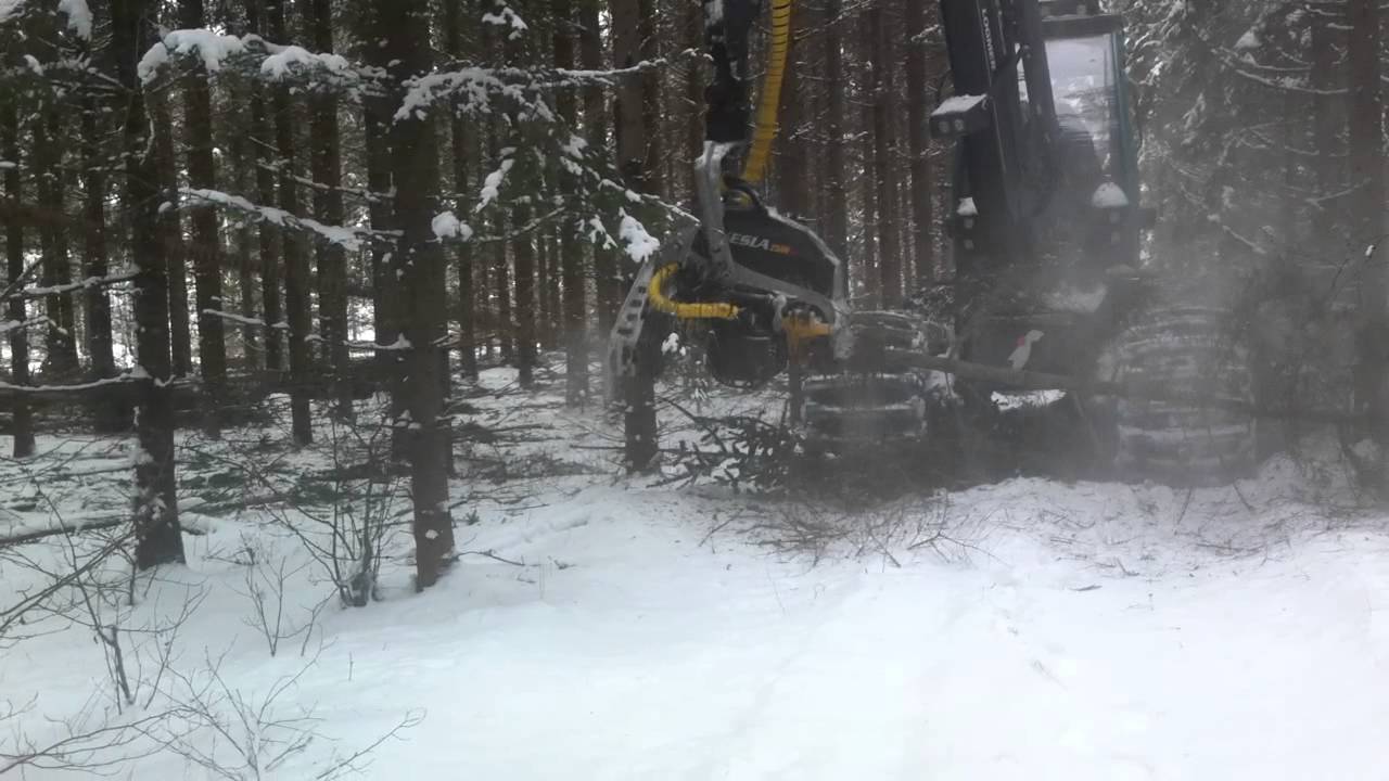 Sk&ouml;rdare Profi 50 Logmer 1011c 11,3meter Kesla 25 RH2