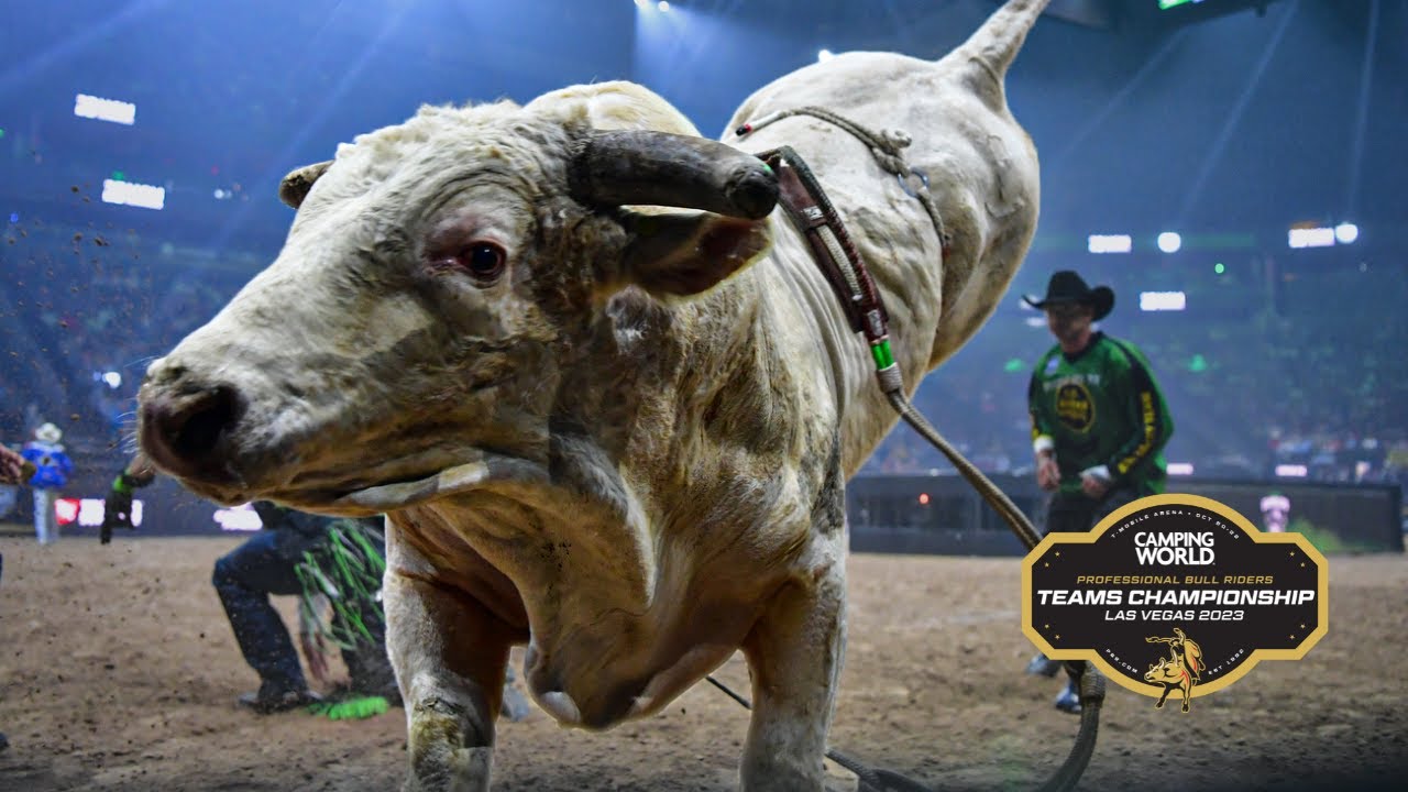 2023 PBR Teams Championship Final Day Recap