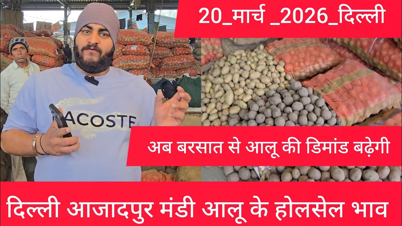 March 20, 2026 दिल्ली 🥔आलू के भाव Azadpur Delhi mandi today #PotatoMarket #delhipotatomarket 