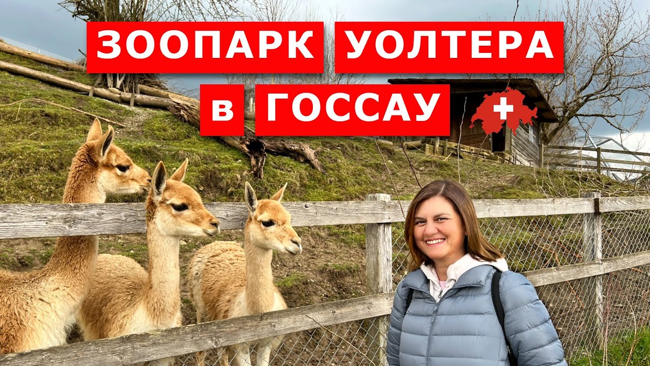 Зоопарк Уолтера в городе Госсау, кантон СанктГаллен, Швейцария. Аренда пауэрбанка. Gossau,Walter Zoo