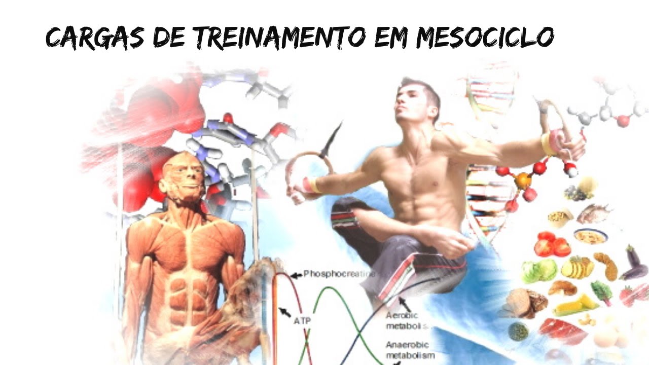 Distribuição de cargas de treinamento em um mesociclo
