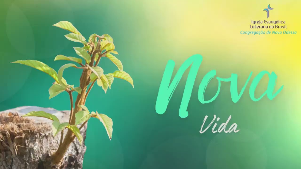 Devocional Nova Vida 06 de fevereiro de 2026 – Não seja confundido!