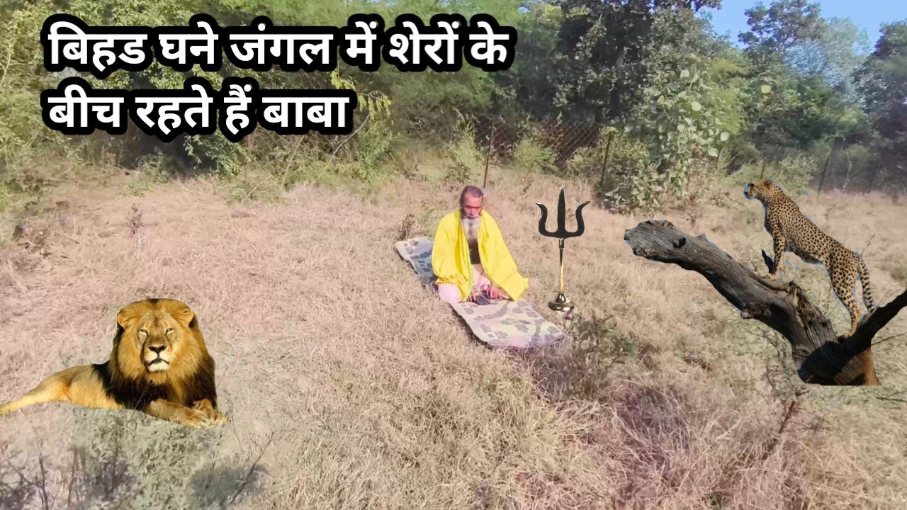 चित्रकूट के घने जंगलों में संत महात्मा।। रहकर करते हैं भजन साधना।।