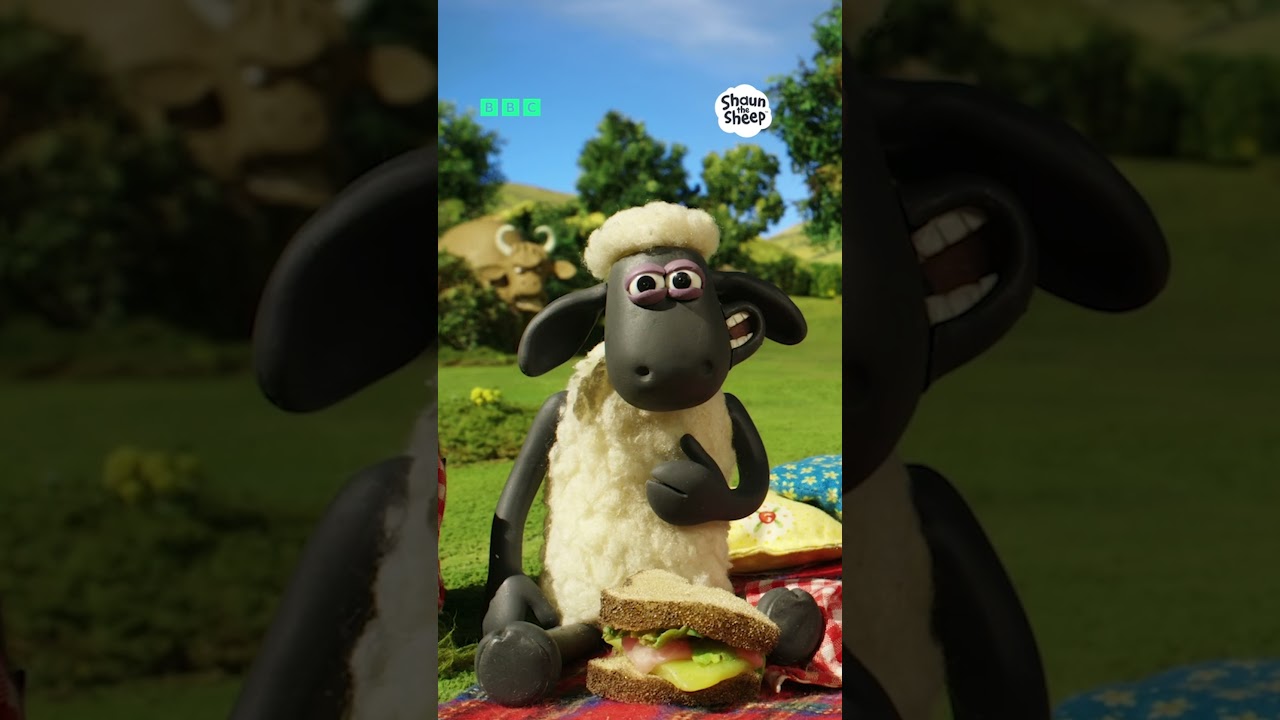 Red picnic cloths are a no! 🐂 | #ShaunTheSheep | BBC Cartoons #Shorts