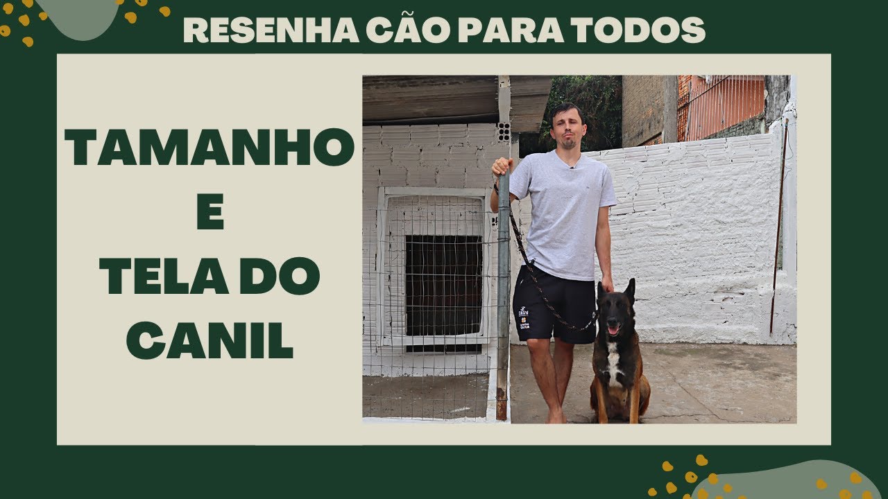 QUAL O TAMANHO IDEAL DE UM CANIL? MINHAS CADELAS PULAM A TELA DO CANIL? | Resenha Cão Para Todos (2)