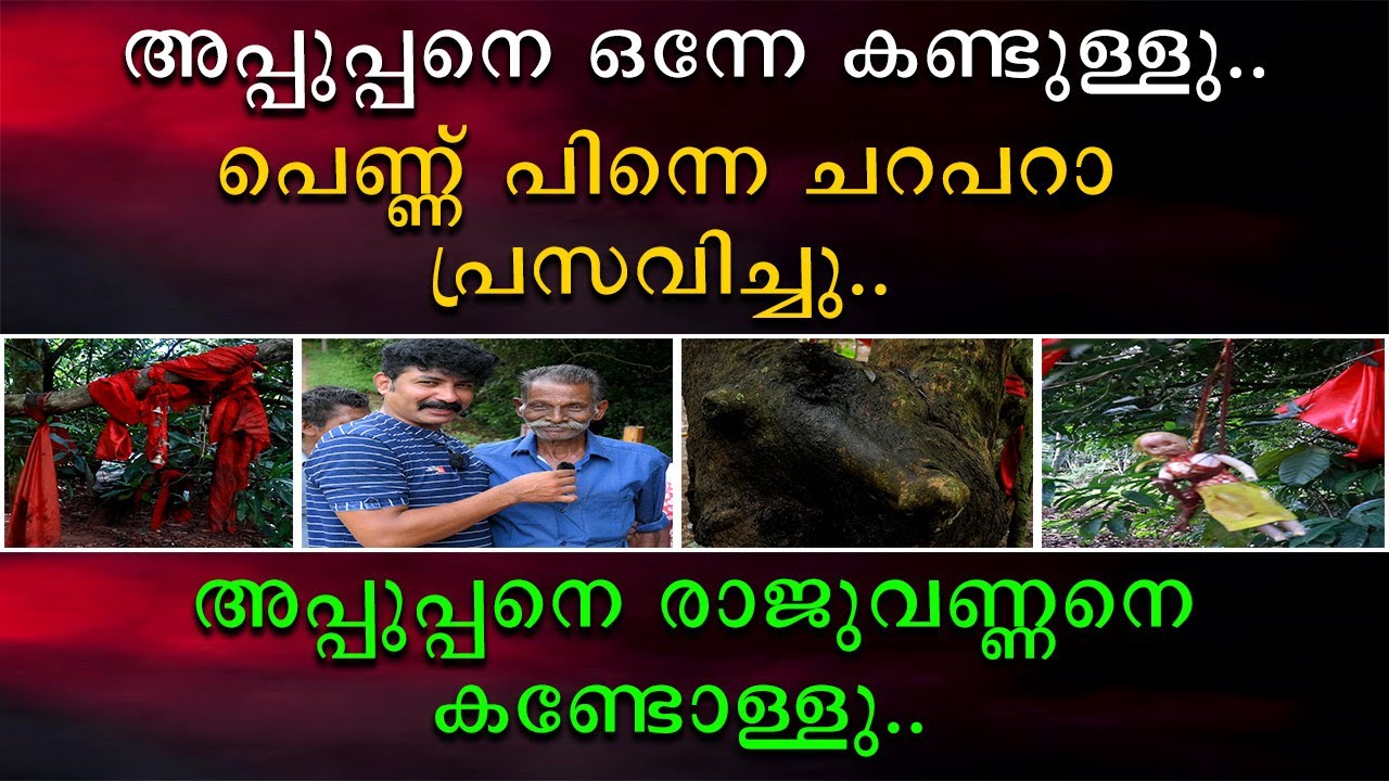 അപ്പുപ്പനെ ഒന്നേ കണ്ടുള്ളു പെണ്ണ് പിന്നെ ചറപറാ പ്രസവിച്ചു