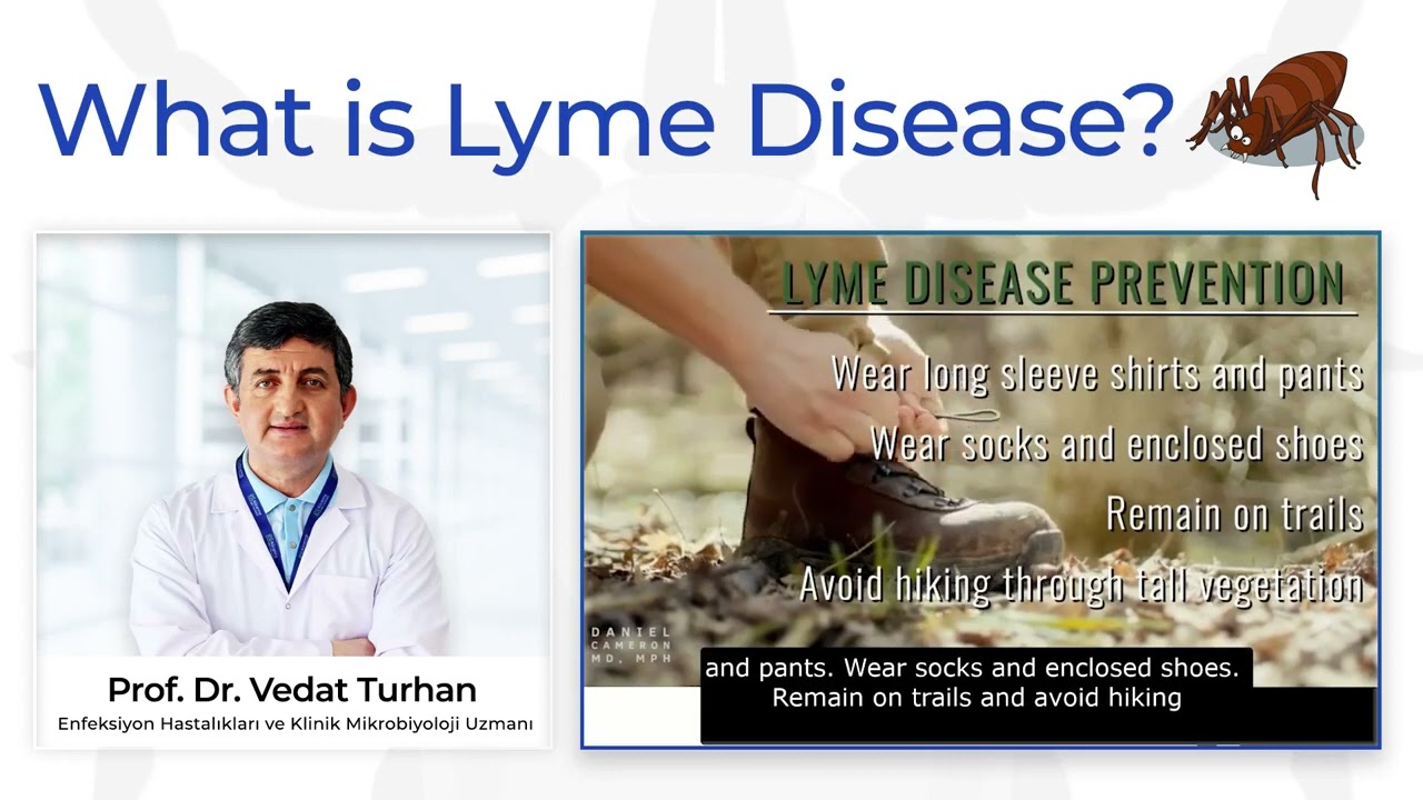 What Is Lyme Disease? | Lyme Hastalığı Nedir? | Prof. Dr. Vedat Turhan