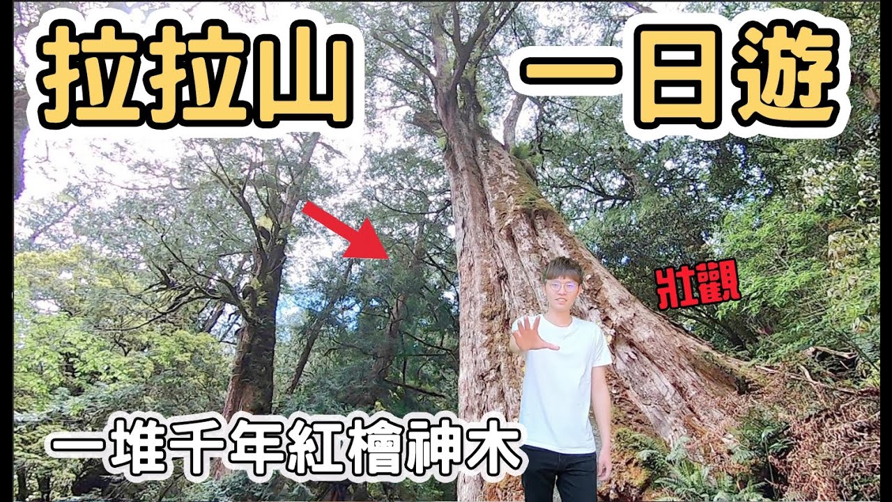 【ManLife】桃園復興拉拉山一日遊｜一定要吃水蜜桃 逛大溪老街｜ 2020《阿滿生活｜桃園》